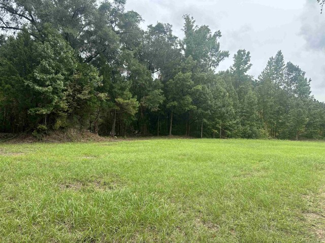 00 Paulette, Crawfordville, FL 32327 - photo 1
