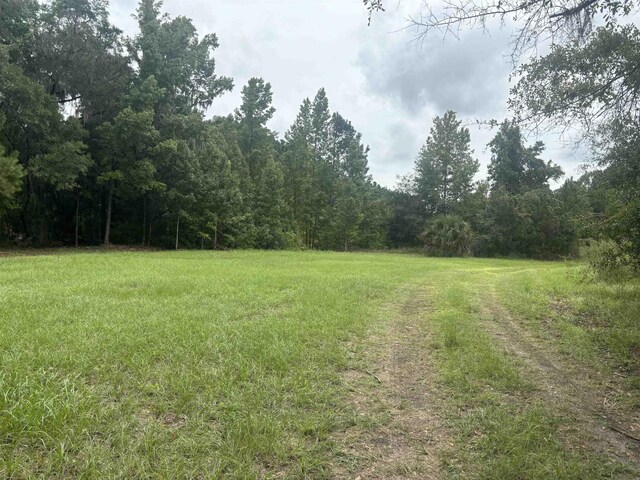 00 Paulette, Crawfordville, FL 32327 - photo 3