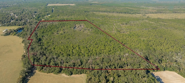 00 Paulette, Crawfordville, FL 32327 - photo 6