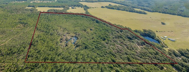 00 Paulette, Crawfordville, FL 32327 - photo 10