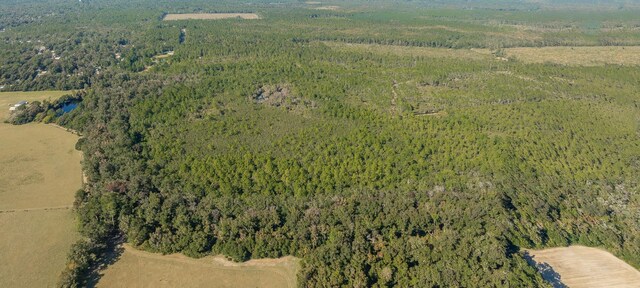 00 Paulette, Crawfordville, FL 32327 - photo 7