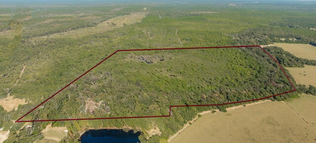 00 Paulette, Crawfordville, FL 32327 - photo 4