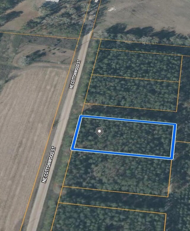 0 NE Cottonwood St, Lee, FL 32059 - photo 3