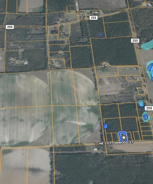 0 NE Cottonwood St, Lee, FL 32059 - photo 5