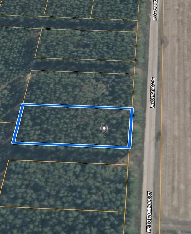 0 NE Cottonwood St, Lee, FL 32059 - photo 2