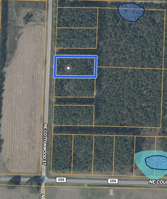 0 NE Cottonwood St, Lee, FL 32059 - photo 4