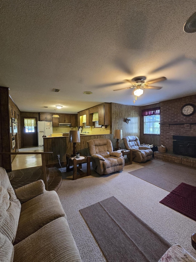 3232 Loren Henderson Rd, Perry, FL 32347 - living room with a wealth of natural light, carpet, and a textured ceiling