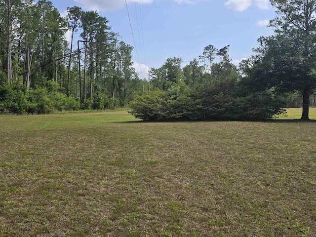 3232 Loren Henderson Rd, Perry, FL 32347 - view of yard