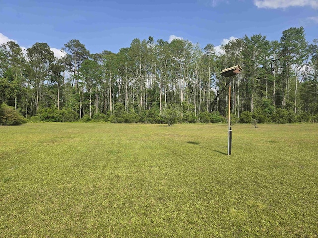3232 Loren Henderson Rd, Perry, FL 32347 - view of yard