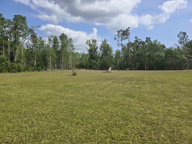 3232 Loren Henderson Rd, Perry, FL 32347 - view of local wilderness featuring a view of trees