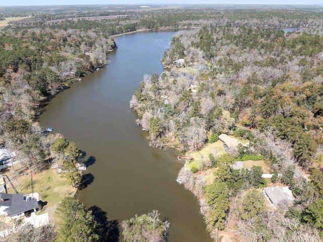 birds eye view of property featuring a water view and a wooded view