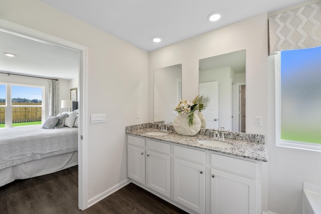 bathroom with hardwood / wood-style floors and vanity