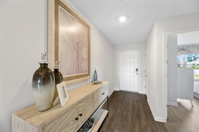 mudroom with dark wood-type flooring