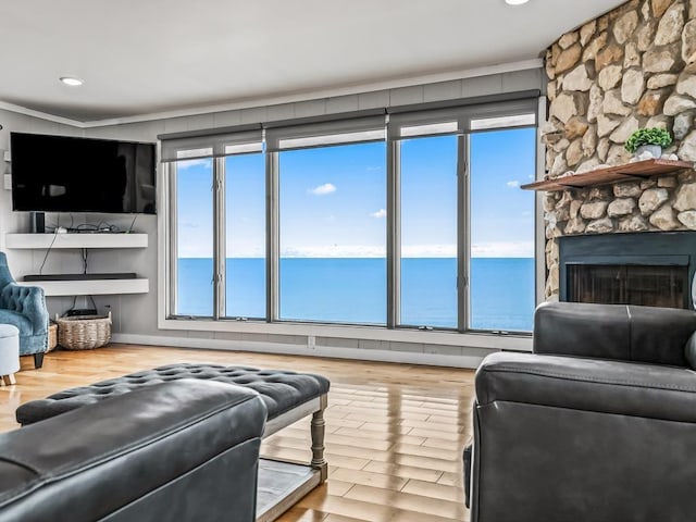 living room with a water view, hardwood / wood-style floors, and a stone fireplace