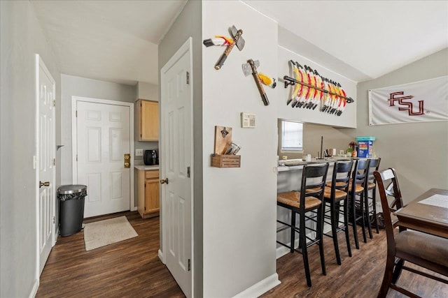 interior space with lofted ceiling, dark wood-style flooring, and baseboards