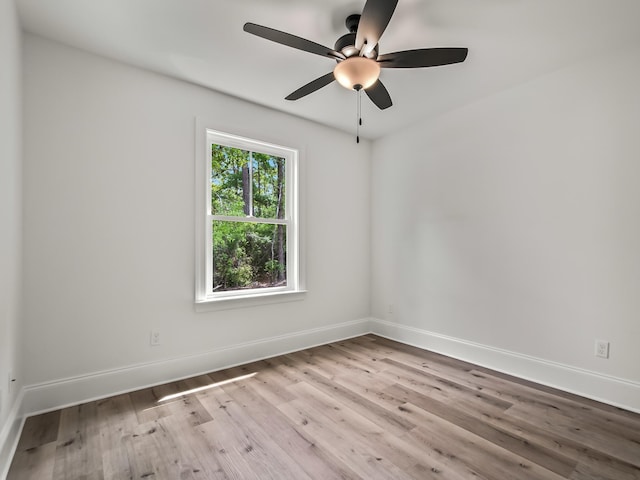 46 Franklin Dr, Crawfordville, FL 32327 - photo 18