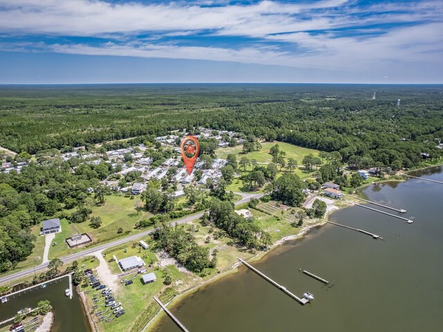 6 Parker Ave Unit 3 & 4, Lanark Village, FL 32323 - aerial view of property's location featuring a heavily wooded area and a large body of water