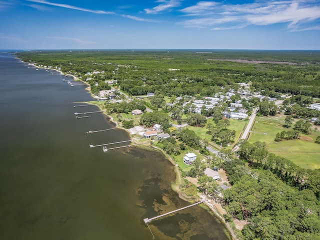 6 Parker Ave Unit 3 & 4, Lanark Village, FL 32323 - aerial overview of property's location with a nearby body of water