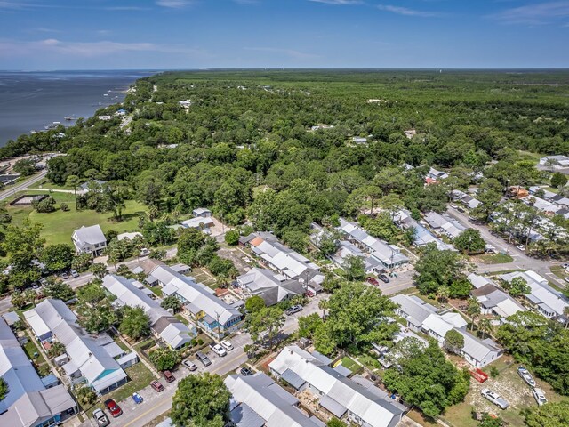 6 Parker Ave Unit 3 & 4, Lanark Village, FL 32323 - aerial view of residential area featuring a forest and a nearby body of water