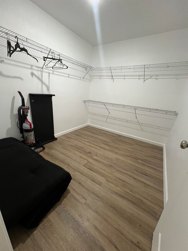 walk in closet with hardwood / wood-style floors