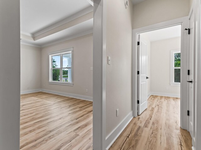 117 Anhinga Trl, Carrabelle, FL 32322 - hallway featuring light wood-style flooring and crown molding