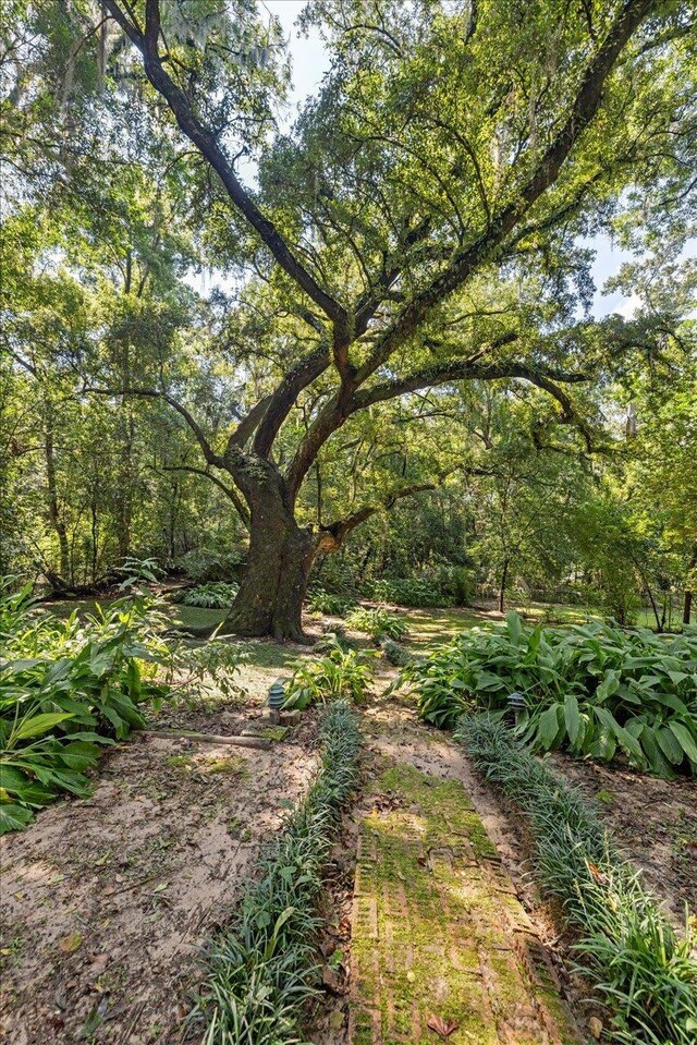 727 Miccosukee Rd -, Unit Tallahassee, FL 32308 - view of nature