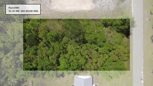 00 Old Palmetto Path, Saint Marks, FL 32355