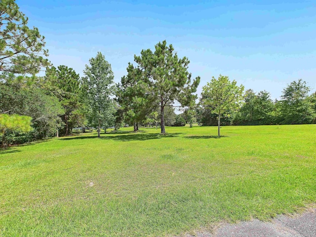 4715 N Jefferson St, Monticello, FL 32344 - photo 26