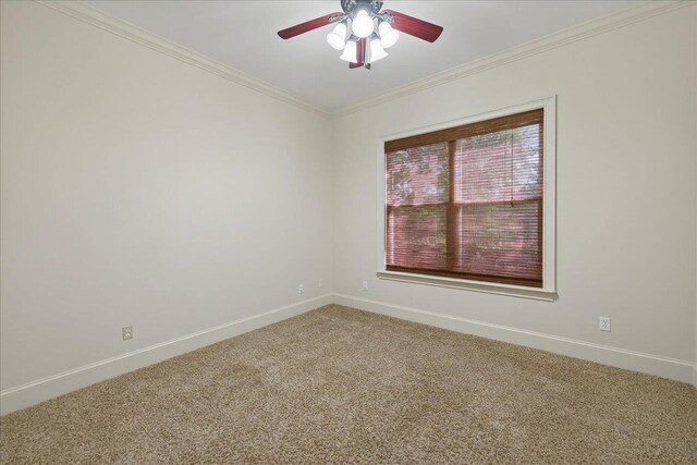 1432 Rachel Ln, Tallahassee, FL 32308 - photo 32