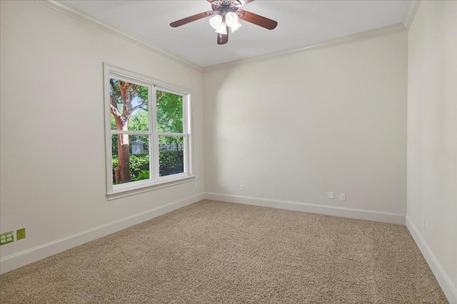 1432 Rachel Ln, Tallahassee, FL 32308 - photo 39