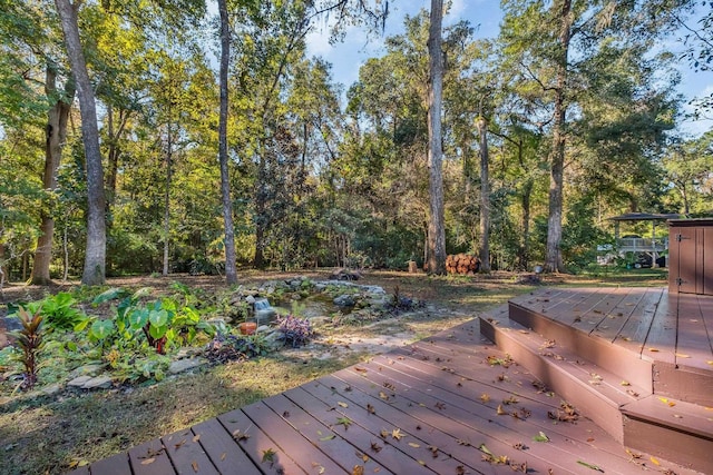 2953 Velda Dairy Rd, Tallahassee, FL 32309 - view of deck