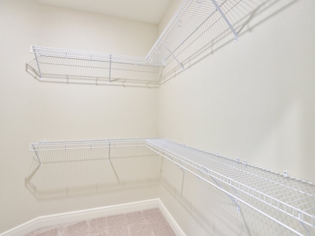 walk in closet featuring carpet floors