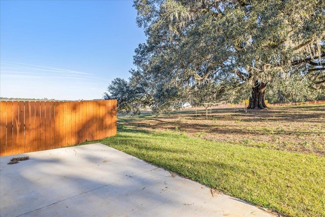 view of yard featuring a patio area