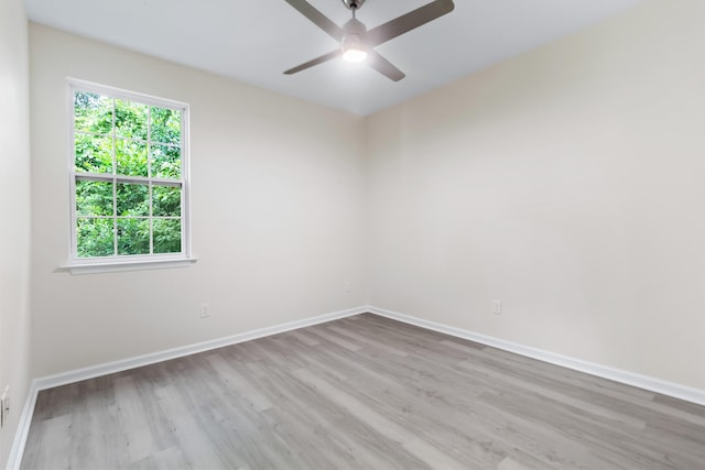 818 Floral St, Tallahassee, FL 32310 - photo 19