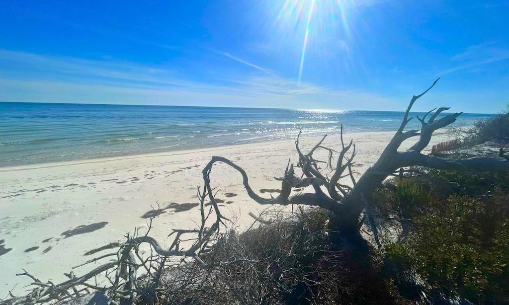 862 Gulfshore Dr Unit 1, Carrabelle, FL 32322
