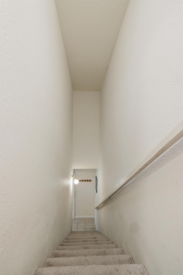 staircase with carpet flooring