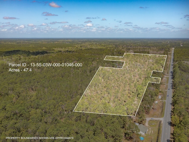 Listing photo 2 for XX Sopchoppy Highway, Sopchoppy FL 32358