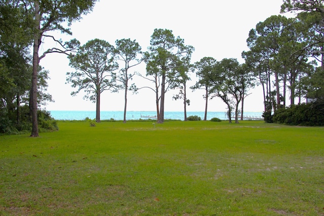 107 Infield Dr, Carrabelle, FL 32322 - photo 38
