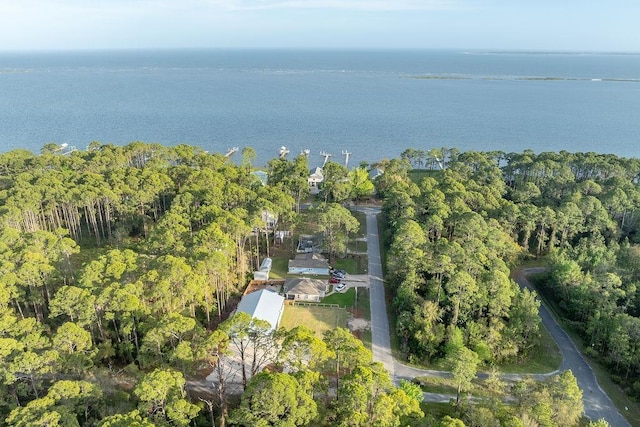 107 Infield Dr, Carrabelle, FL 32322 - photo 7