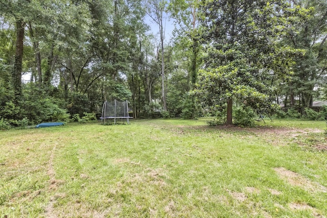 6705 Tim Tam Trl, Tallahassee, FL 32309 - photo 47