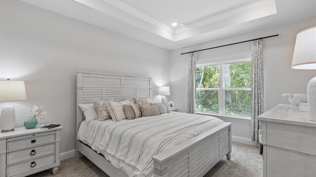 carpeted bedroom featuring a raised ceiling and crown molding