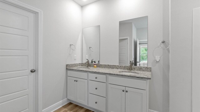 bathroom featuring wood-type flooring and vanity