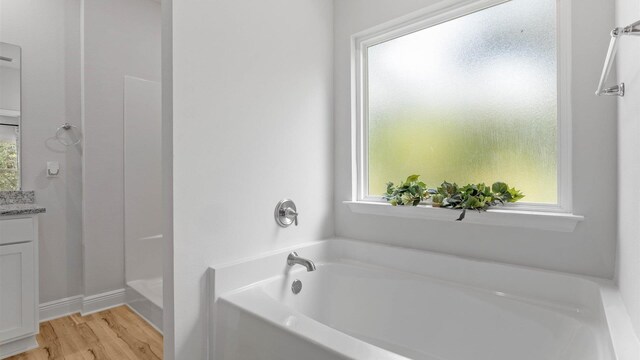 bathroom with independent shower and bath, vanity, wood-type flooring, and plenty of natural light