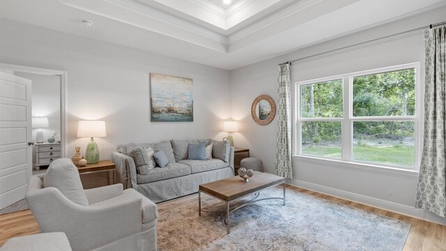 living room with a healthy amount of sunlight, light hardwood / wood-style flooring, crown molding, and a tray ceiling