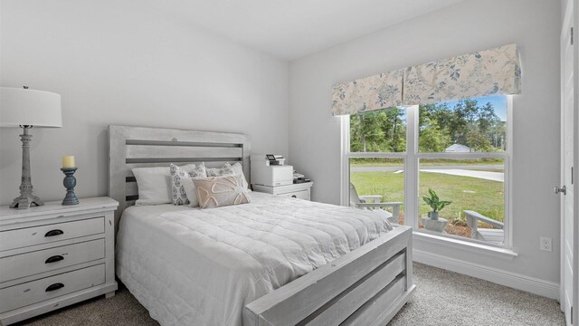 bedroom featuring carpet