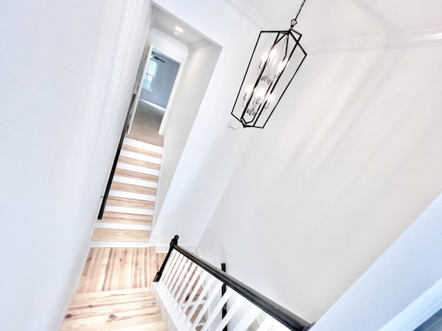 stairs featuring hardwood / wood-style floors and crown molding