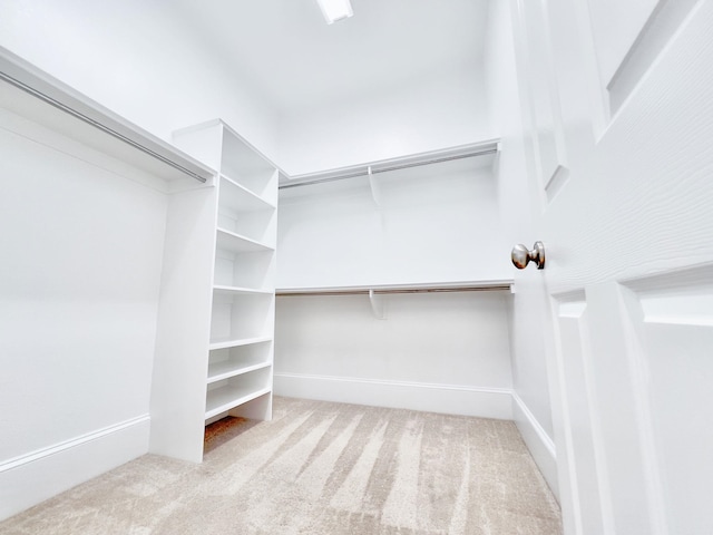 walk in closet with light colored carpet