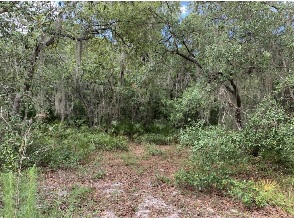 15380 Fiddlers Way, Perry, FL 32348