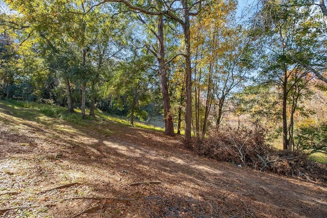 view of local wilderness