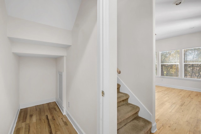 stairway with wood-type flooring